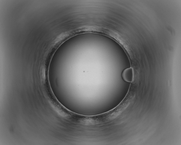 X0000112520253200908171401