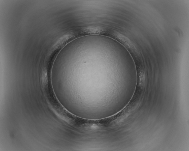 X0000112520254200908171401