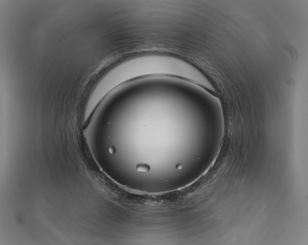 X0000112520256200908171401