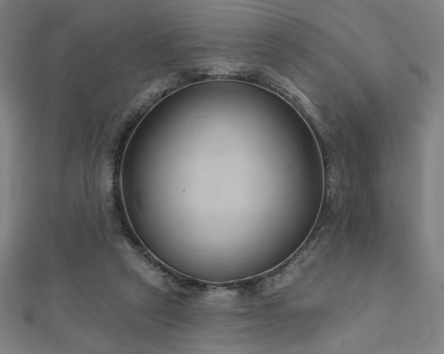 X0000112520257200908171401