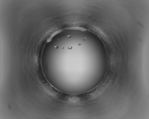 X0000112520258200908171401