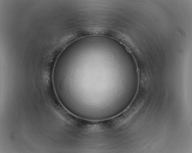 X0000112520259200908171401