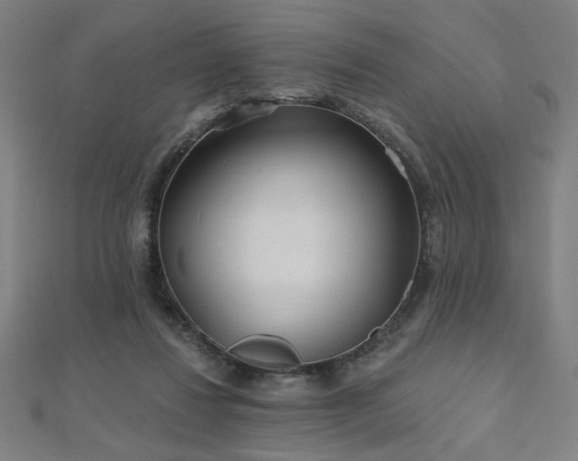 X0000112520260200908171401