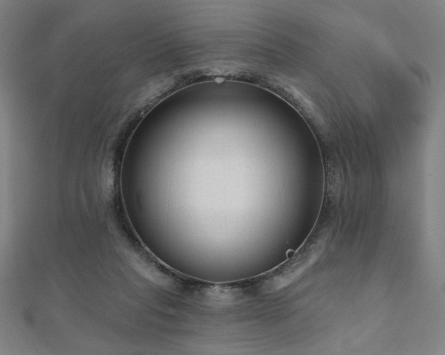 X0000112520261200908171401
