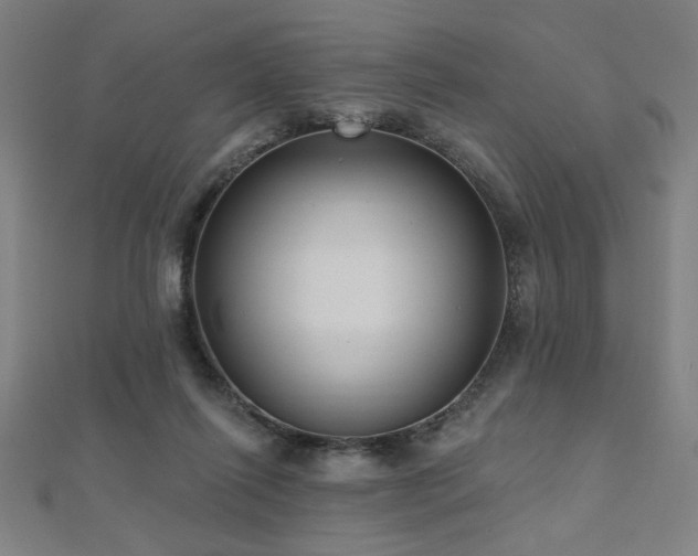 X0000112520262200908171401