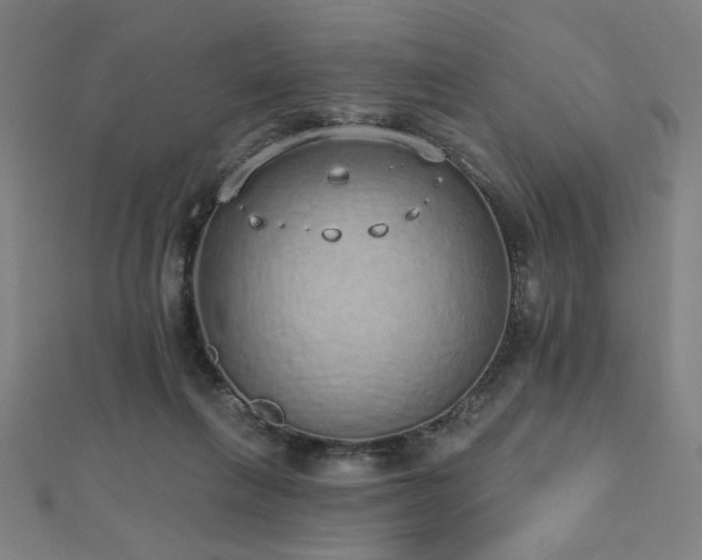 X0000112520263200908171401