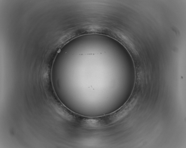 X0000112520265200908171401