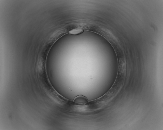 X0000112520266200908171401