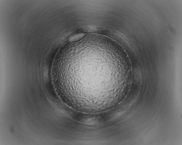 X0000112520267200908171401