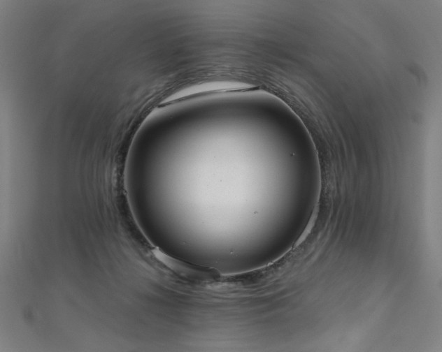 X0000112520268200908171401