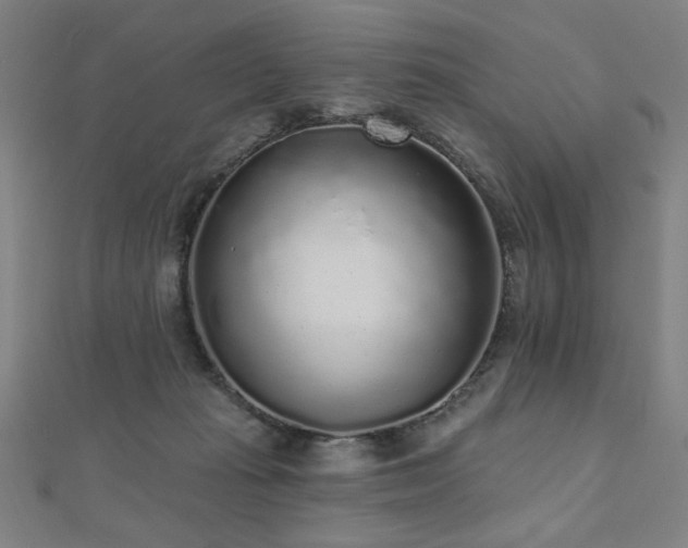 X0000112520269200908171401