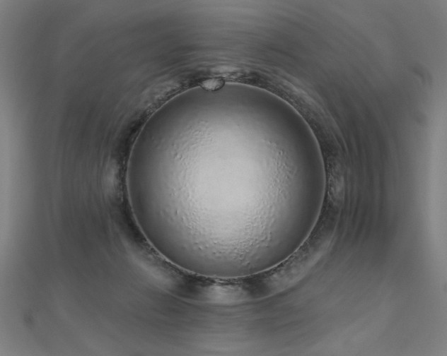 X0000112520270200908171401