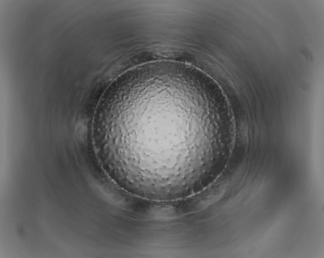 X0000112520271200908171401