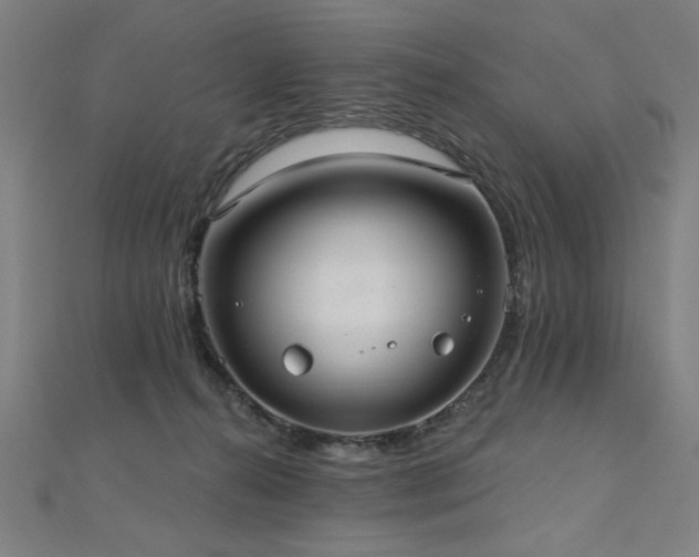X0000112520272200908171401