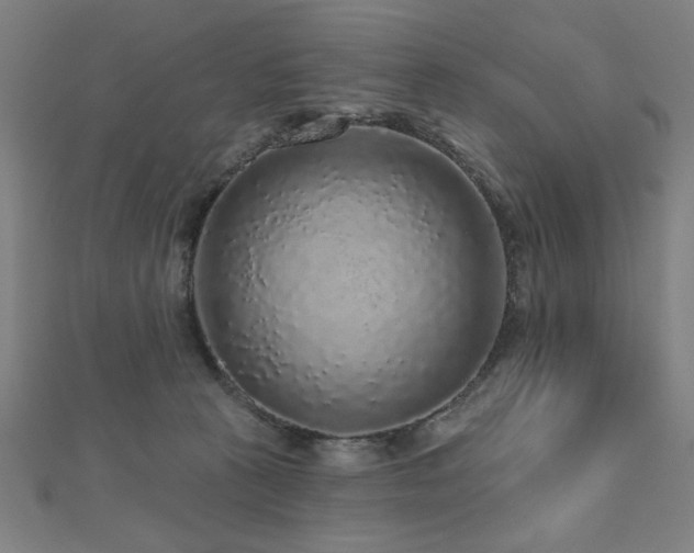 X0000112520273200908171401