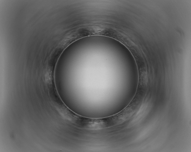 X0000112520274200908171401