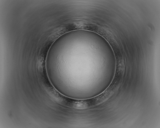 X0000112520275200908171401