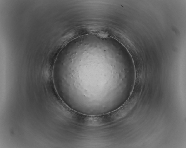 X0000112520277200908171401