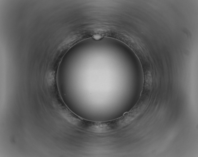 X0000112520278200908171401