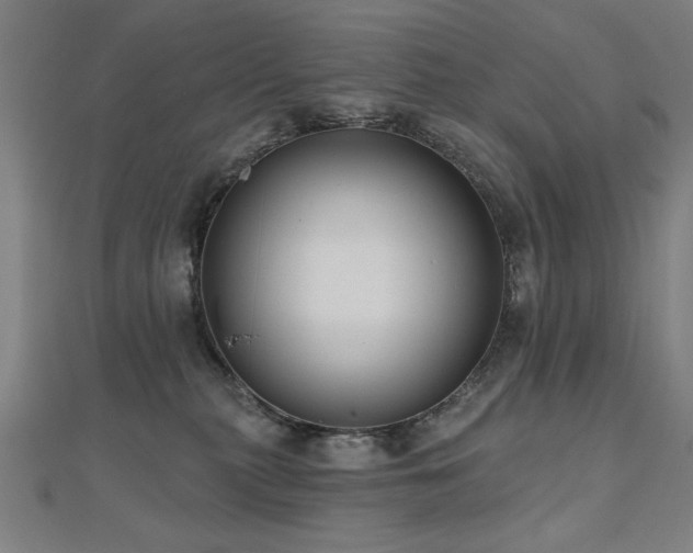 X0000112520279200908171401