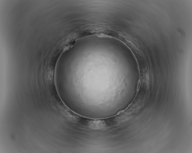 X0000112520281200908171401
