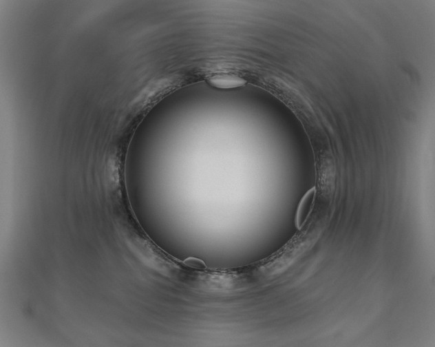X0000112520282200908171401