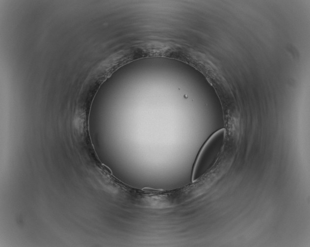 X0000112520283200908171401