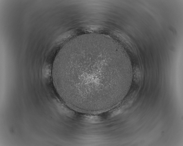 X0000112520284200908171401