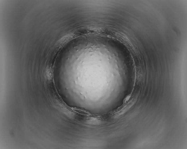 X0000112520285200908171401