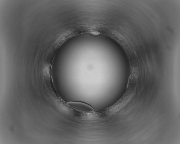X0000112520286200908171401