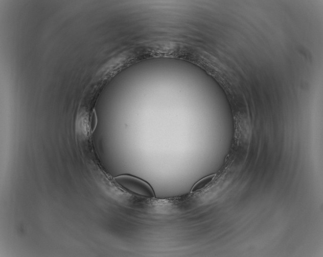 X0000112520287200908171401