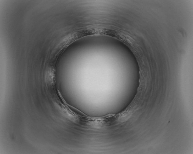 X0000112520288200908171401