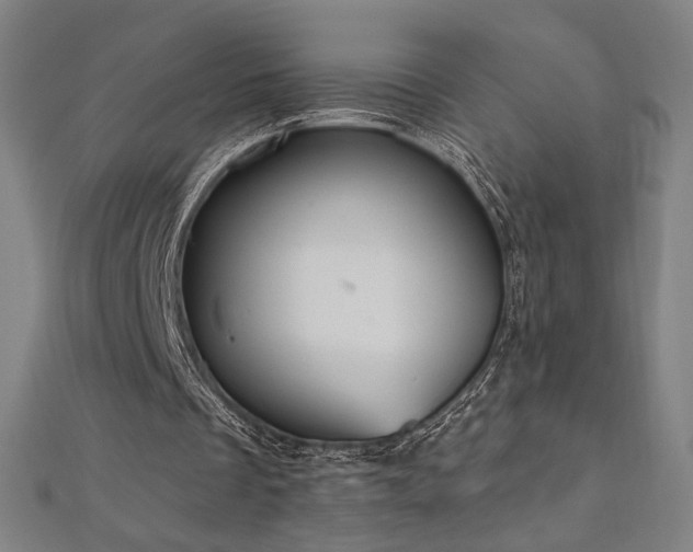 X0000112520289200908171400