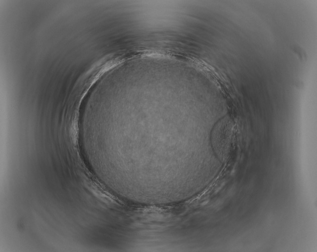 X0000112520290200908171400