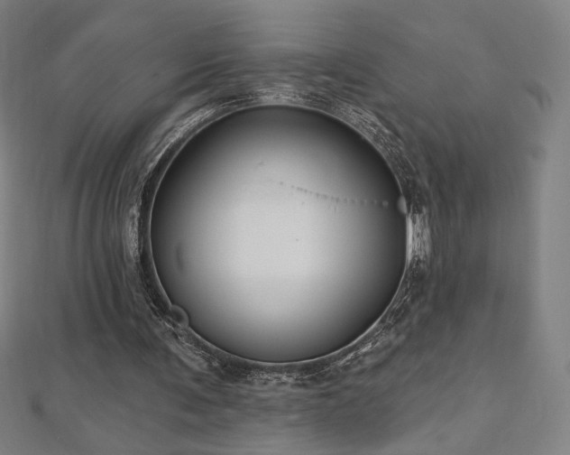 X0000112520291200908171400