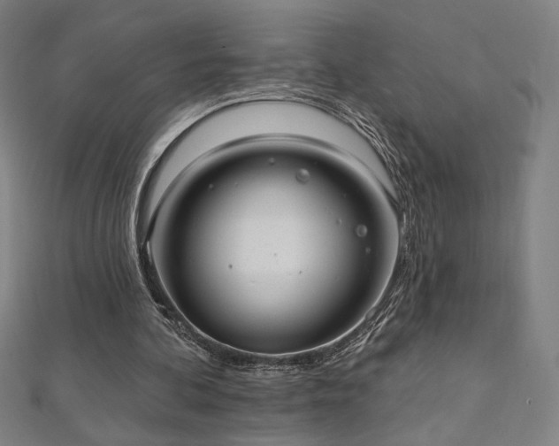 X0000112520292200908171400