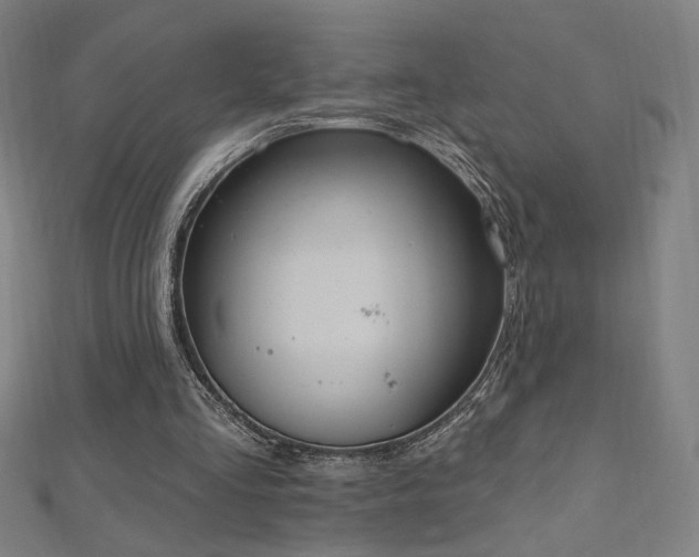 X0000112520293200908171400