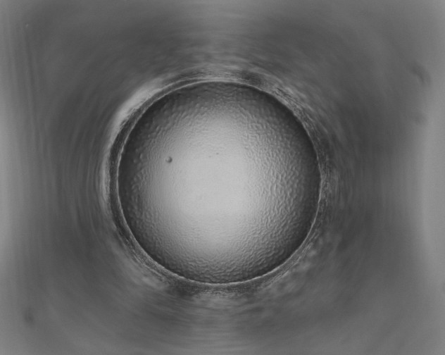 X0000112520294200908171400