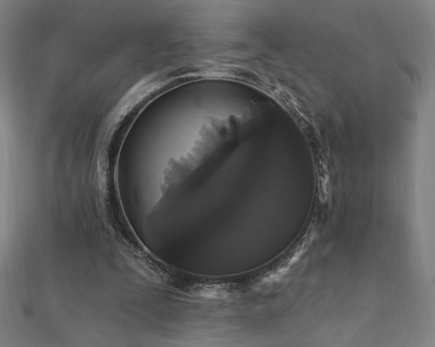 X0000112520295200908171400