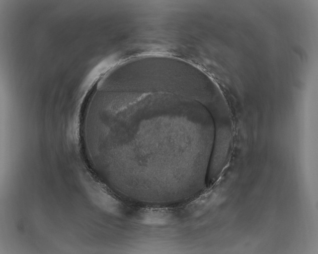 X0000112520296200908171400