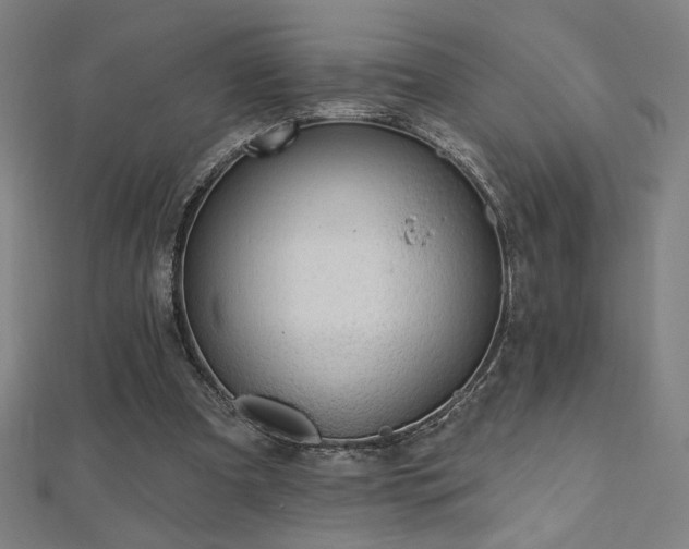 X0000112520297200908171400