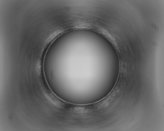 X0000112520298200908171400