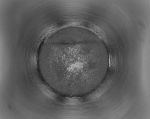 X0000112520300200908171400