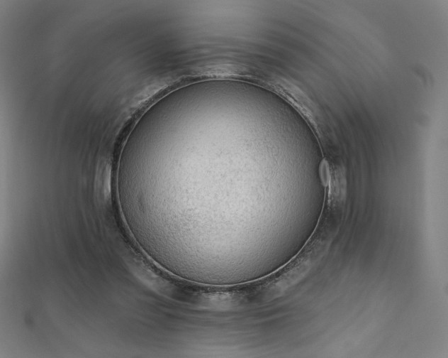 X0000112520301200908171400