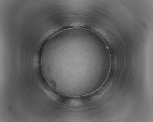 X0000112520303200908171400