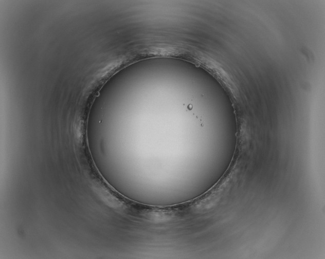 X0000112520305200908171400