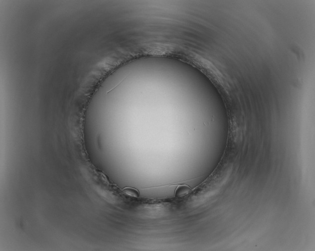 X0000112520307200908171400