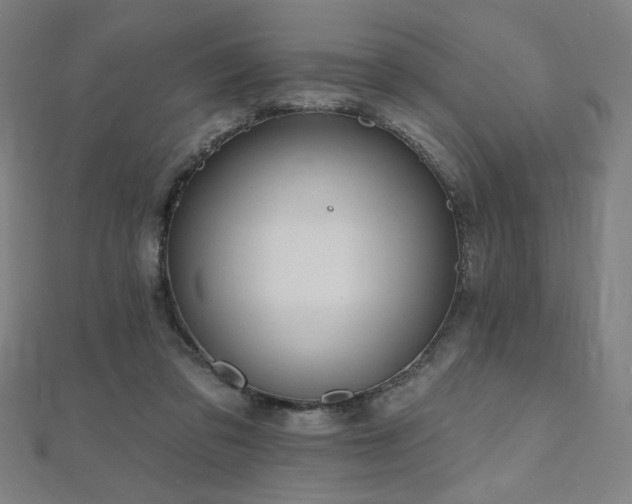 X0000112520309200908171400
