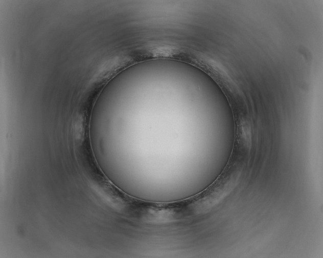 X0000112520311200908171400