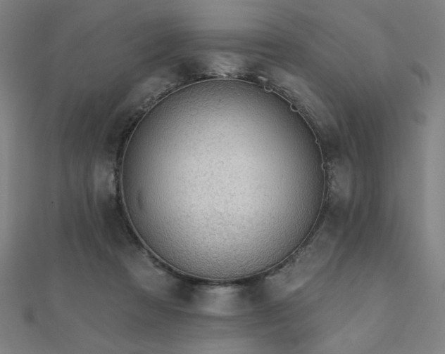 X0000112520313200908171400